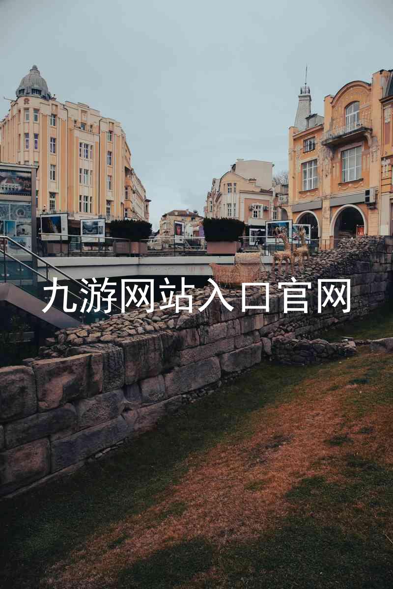 九游网站入口官网